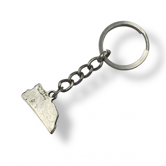 Breloc metalic Arctic Monkeys [2]