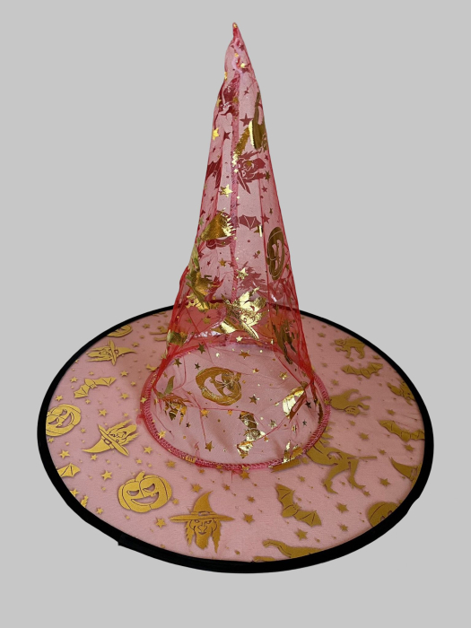 Pălărie de vrăjitoare Halloween [1]