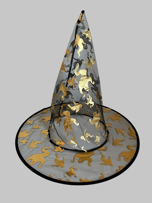 Pălărie de vrăjitoare Halloween [1]