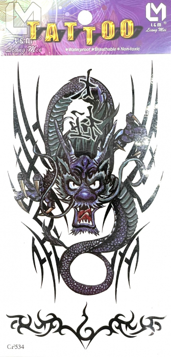 Tatuaj temporar dragon [1]