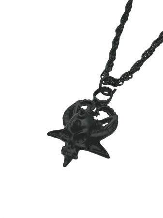 Lant craniu si pentagrama [1]