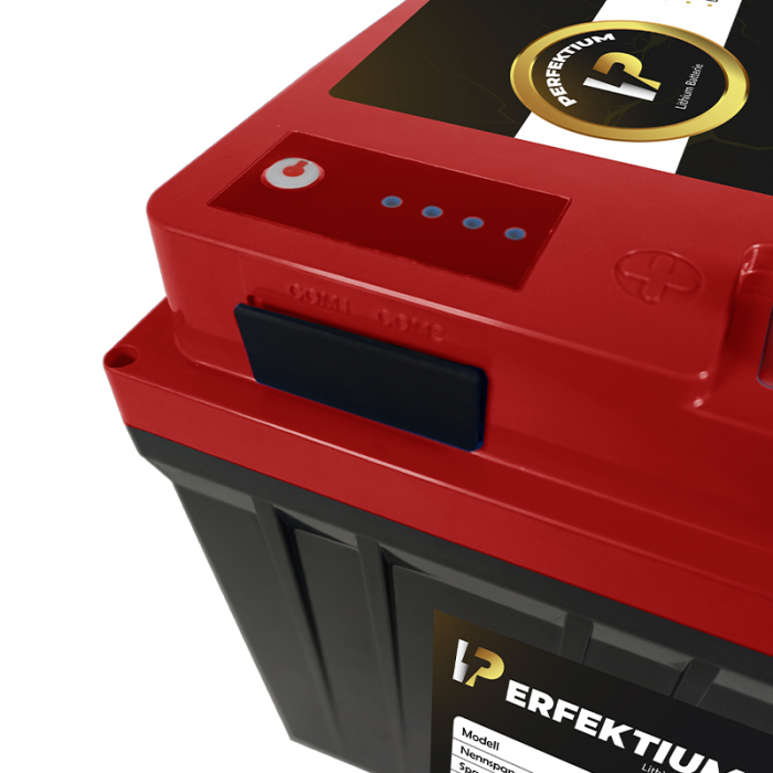 Baterie LiFePO4 Perfektium 100Ah 12.8V - Energie Durabilă pentru Bărci și Camping [4]