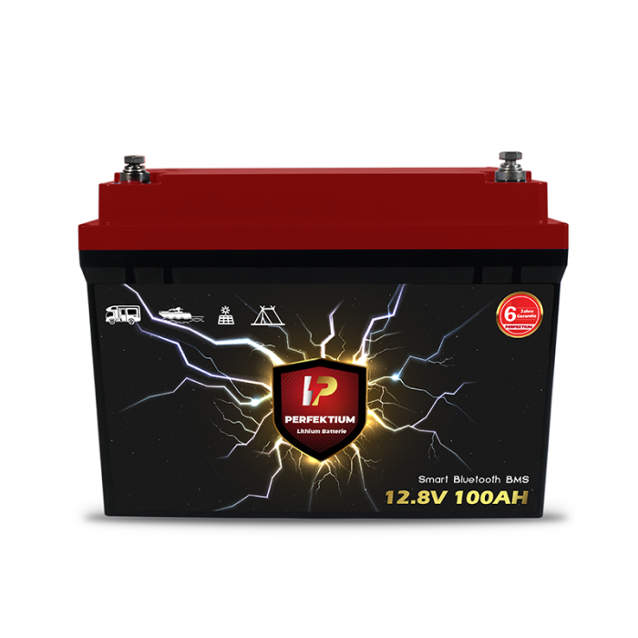 Baterie LiFePO4 Perfektium 100Ah 12.8V - Energie Durabilă pentru Bărci și Camping [6]