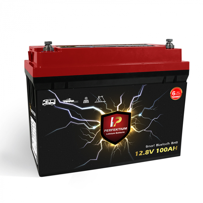 Baterie LiFePO4 Perfektium 100Ah 12.8V - Energie Durabilă pentru Bărci și Camping [5]
