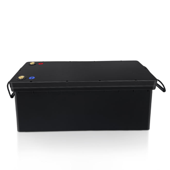 carcasa-baterie-lifepo4-12v-es12-200a-abs [4]