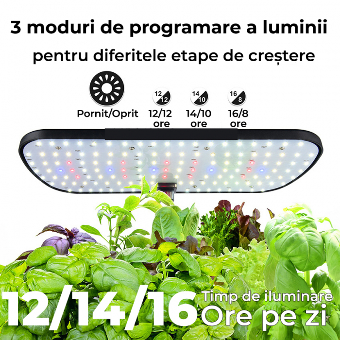 Ghiveci de plante cu sistem de cultivare hidroponica fara sol [3]