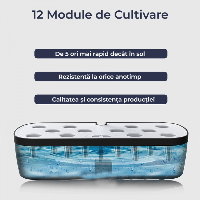 Ghiveci de plante cu sistem de cultivare hidroponica fara sol [8]