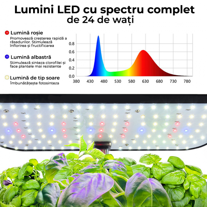 Ghiveci de plante cu sistem de cultivare hidroponica fara sol [6]