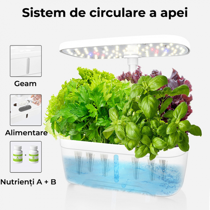 Ghiveci de plante cu sistem de cultivare hidroponica fara sol [2]
