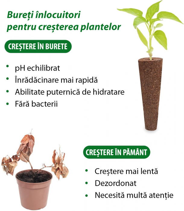Set 12 bureti pentru cresterea plantelor hidroponice [6]