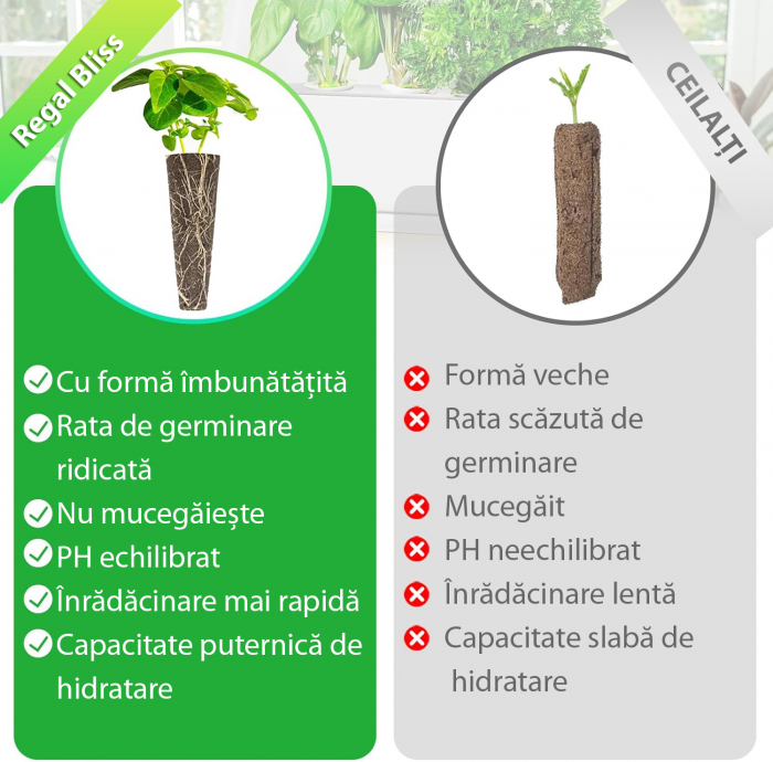 Set 12 bureti pentru cresterea plantelor hidroponice [3]