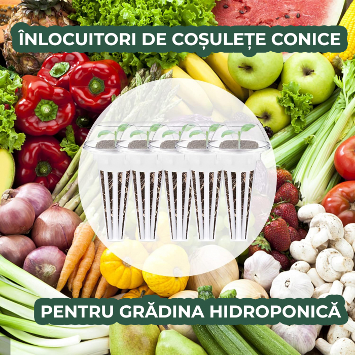 Set 12 cosuri de plastic pentru cresterea plantelor hidroponice [5]