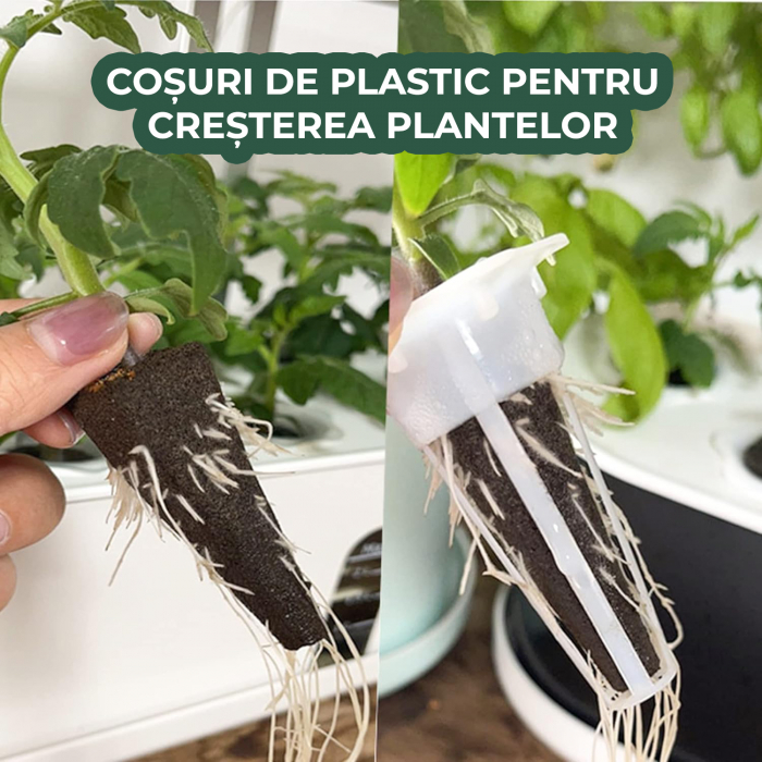 Set 12 cosuri de plastic pentru cresterea plantelor hidroponice [7]