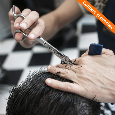 Foarfeca Regal Bliss ® profesionala pentru filat, Argintiu si Albastru [1]