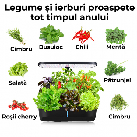 Ghiveci de plante cu sistem de cultivare hidroponica fara sol [4]
