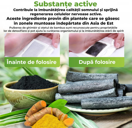 Plasturi Detoxifiere Picioare [2]