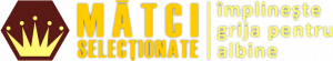 MatciSelectionate.ro
