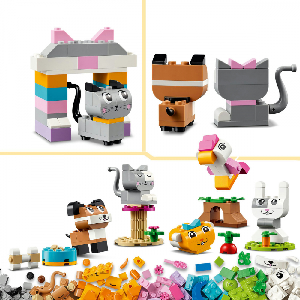 Animale de companie creative [8]
