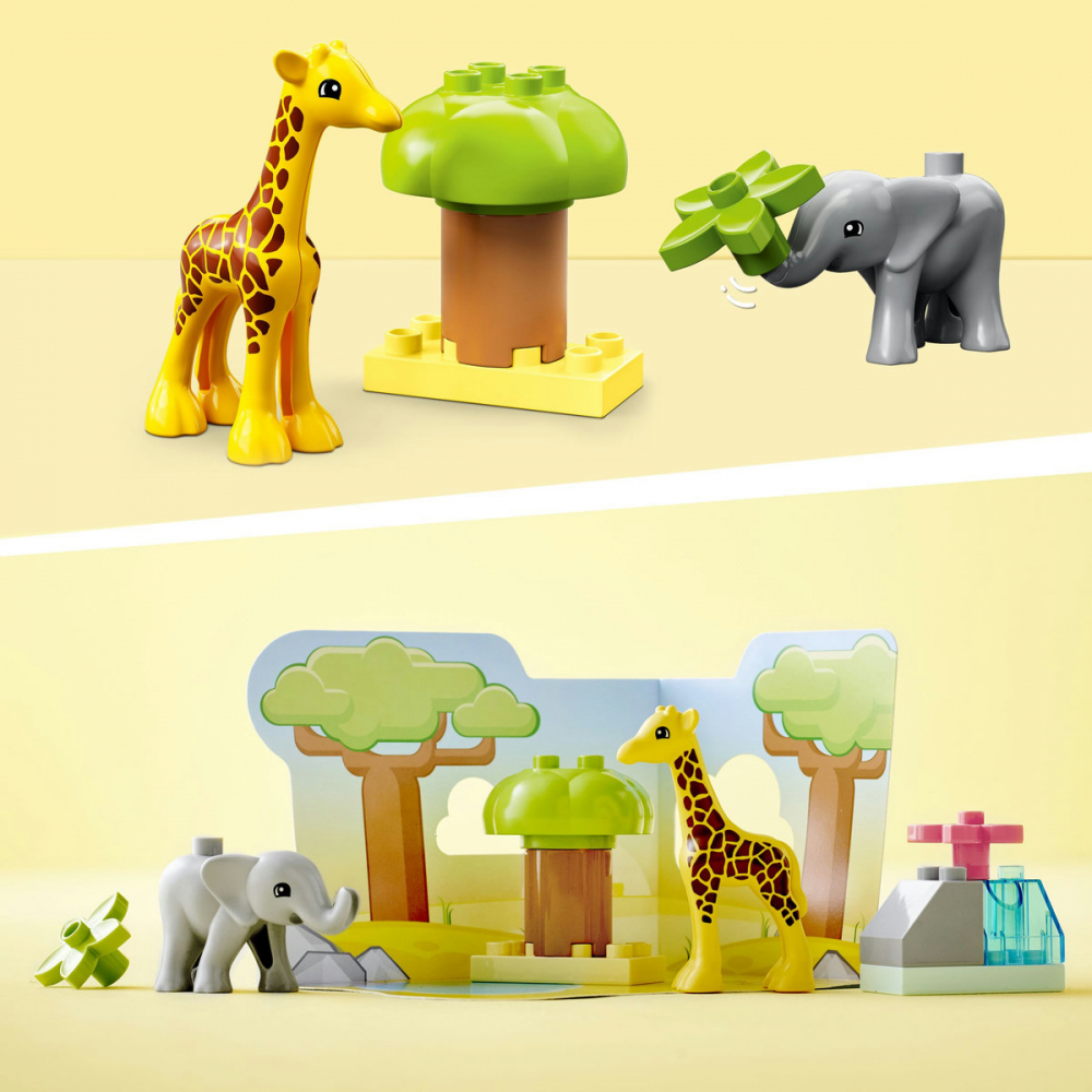 Animale din Africa [9]
