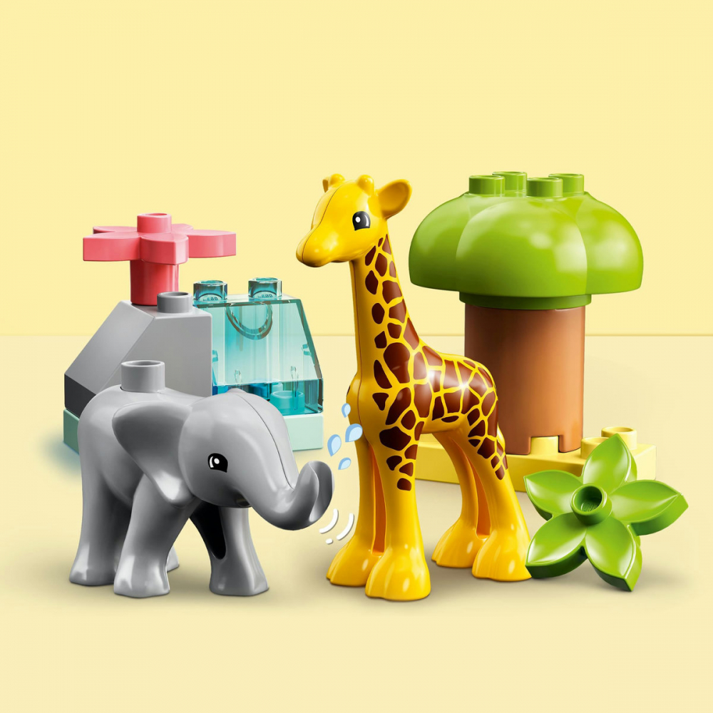 Animale din Africa [8]