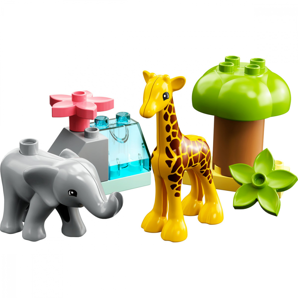 Animale din Africa [7]