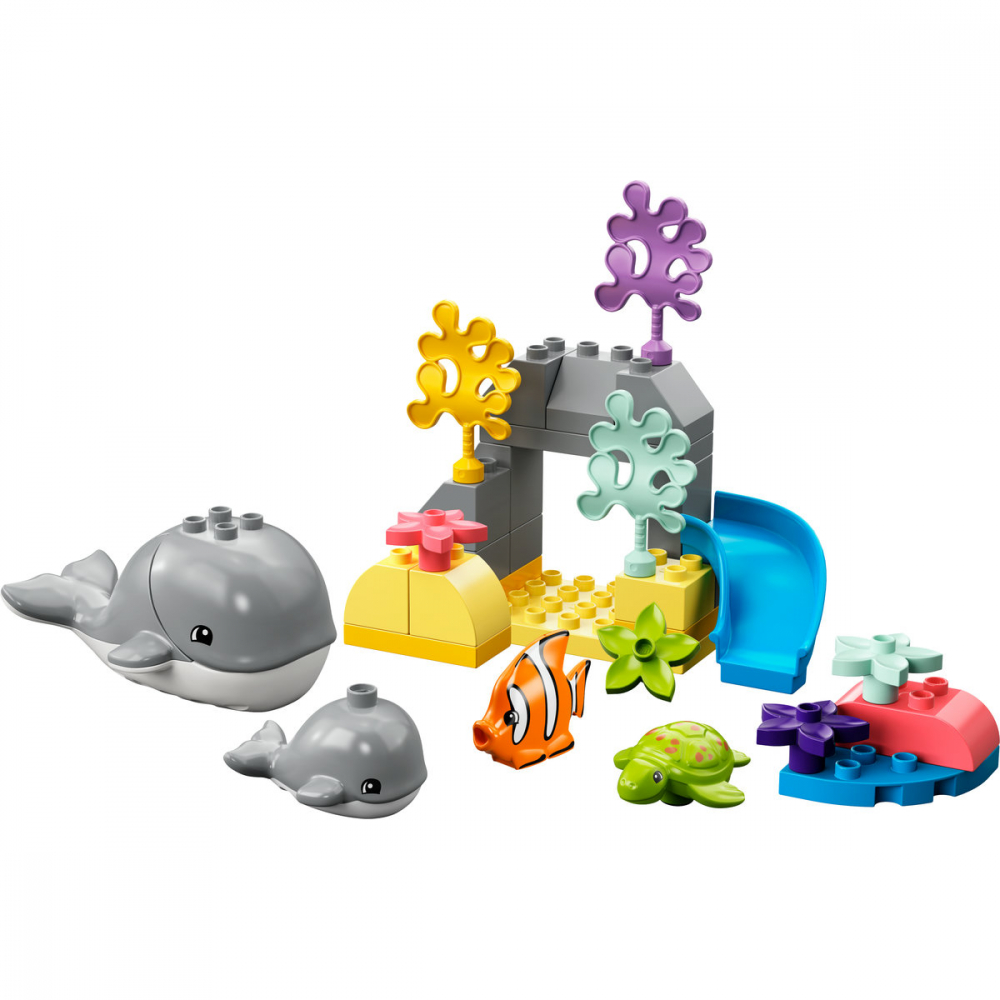 Animale din Ocean [7]