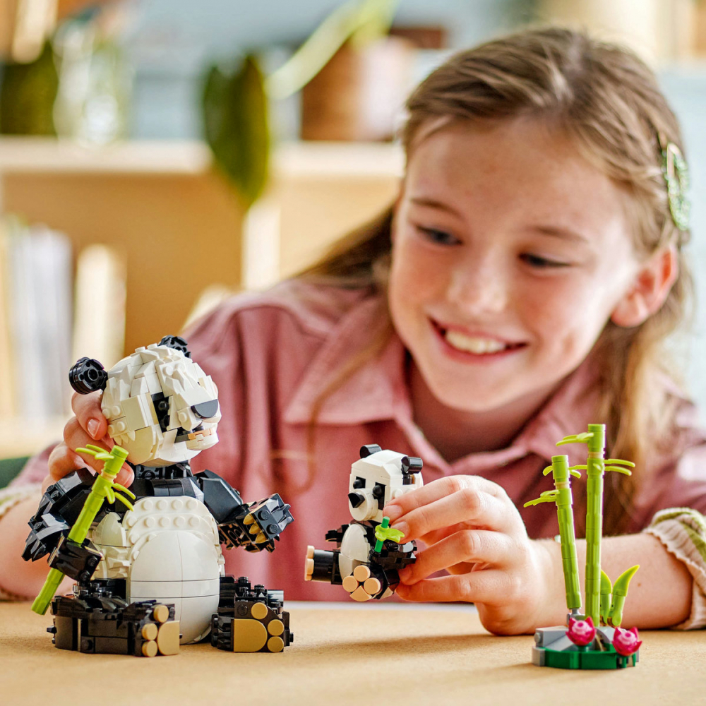Animale salbatice: Familia de ursi panda [7]