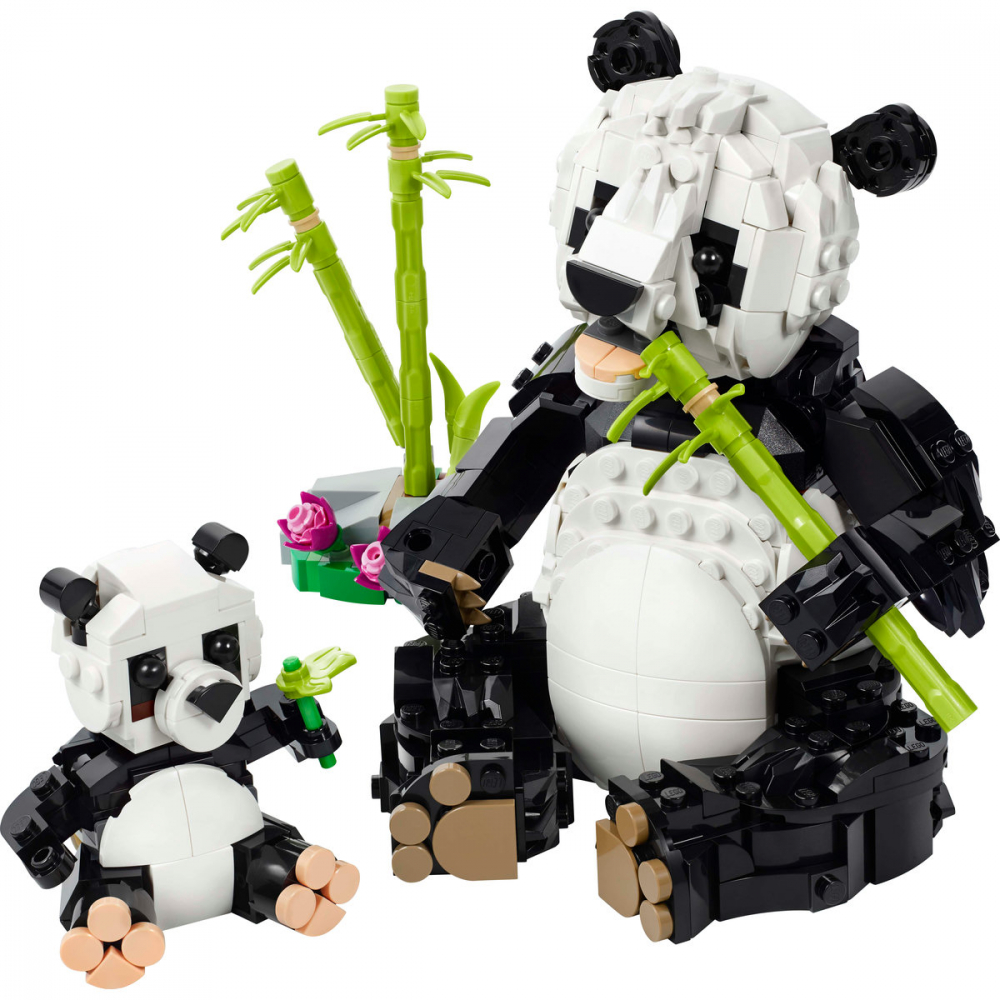 Animale salbatice: Familia de ursi panda [9]