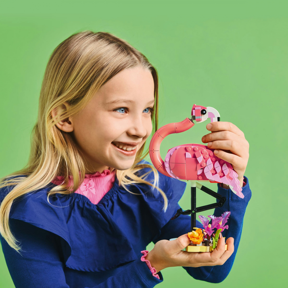 Animale salbatice: Flamingo roz [4]