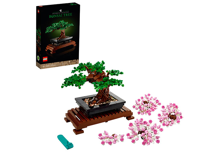 Bonsai [1]