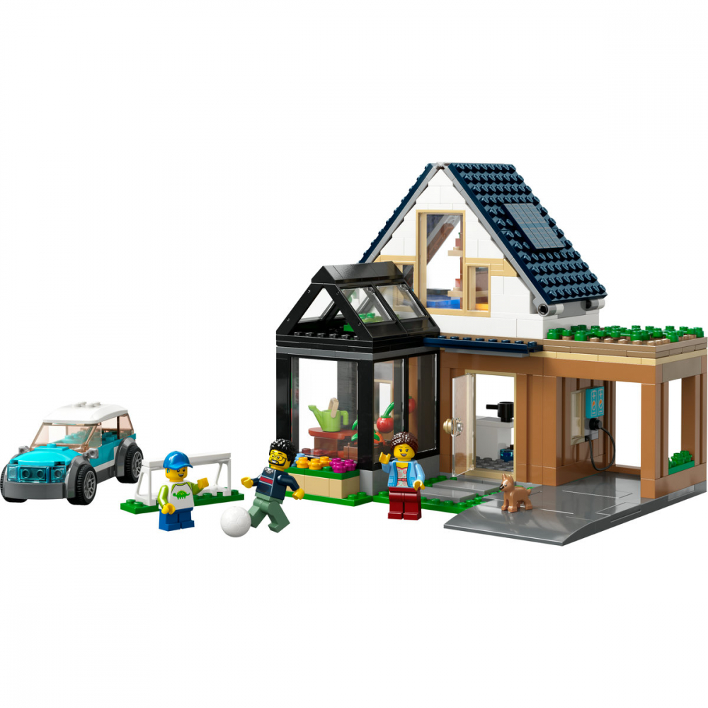 Casa familiei si masina electrica [7]