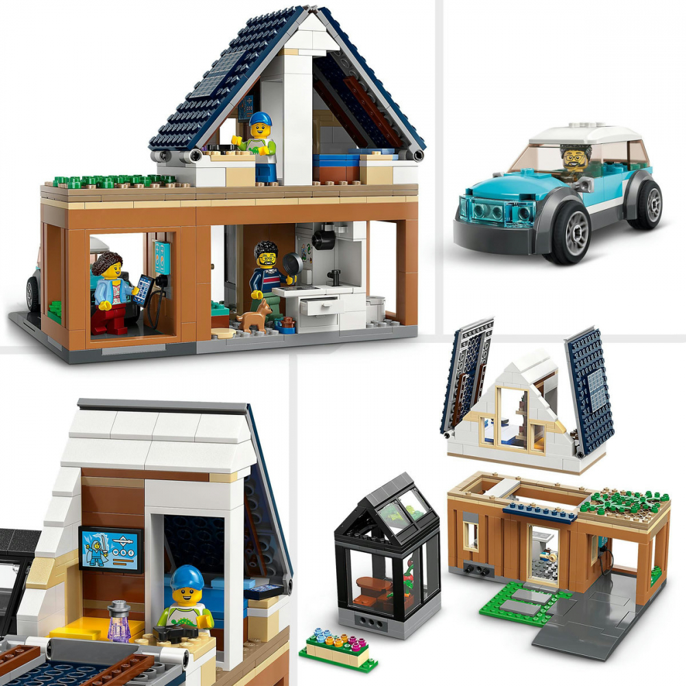 Casa familiei si masina electrica [8]