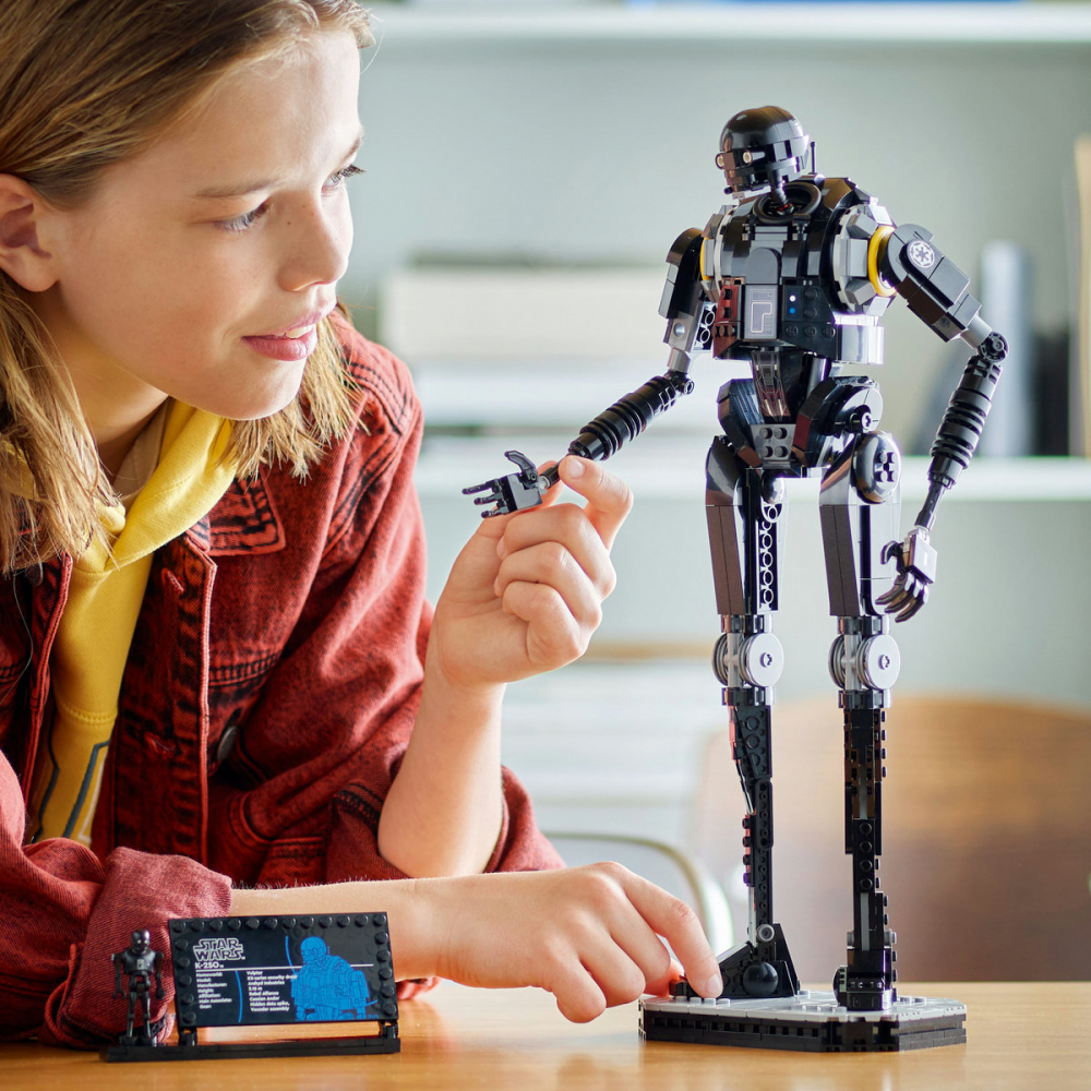 Droid de securitate K-2SO [5]