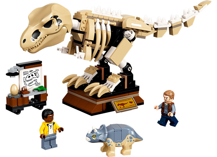 Expozitia de fosile de T. Rex [2]