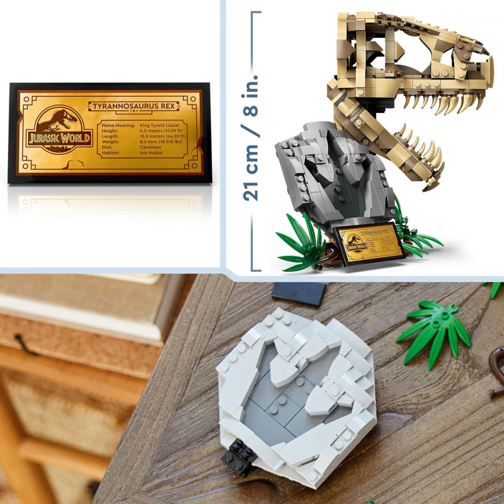 Fosile de dinozaur: craniu de T.rex [9]