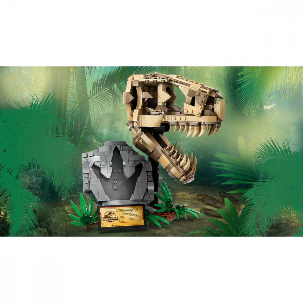 Fosile de dinozaur: craniu de T.rex [10]