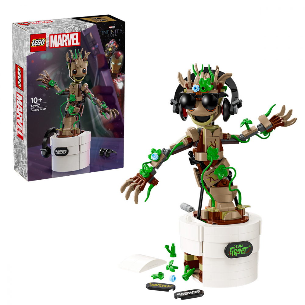 Groot dansator [1]
