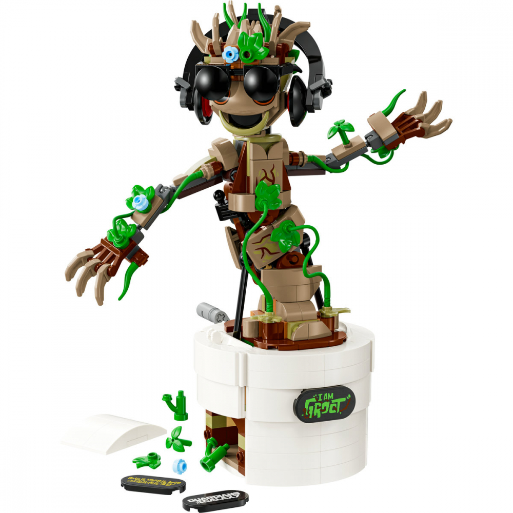 Groot dansator [6]
