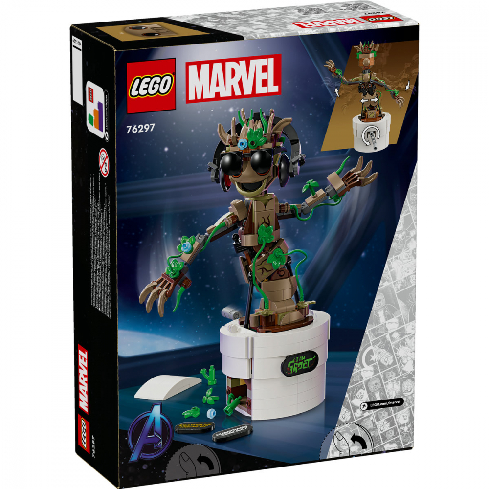 Groot dansator [3]
