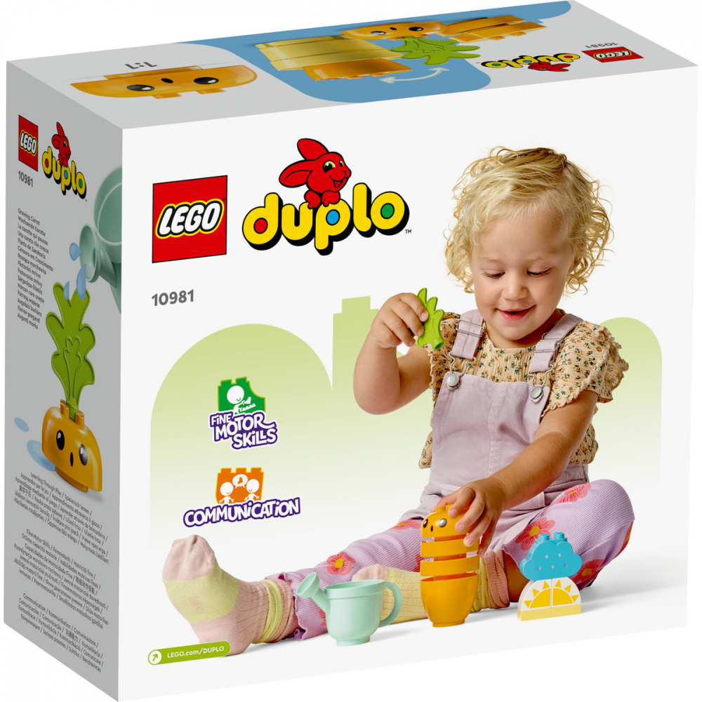 Kit de cultivare al morcovului [3]