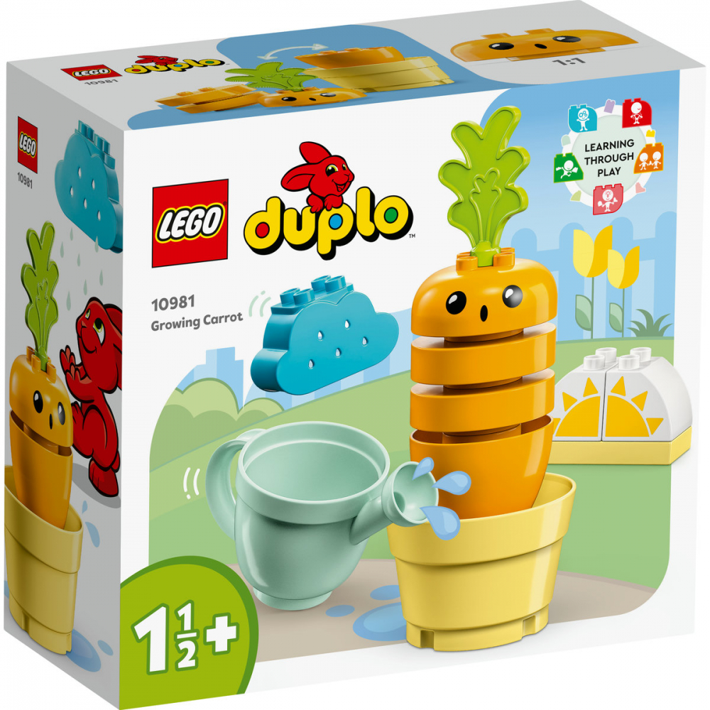 Kit de cultivare al morcovului [2]