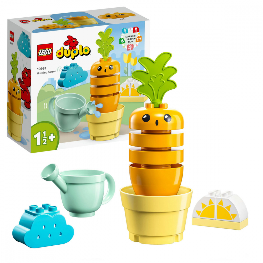 Kit de cultivare al morcovului [1]