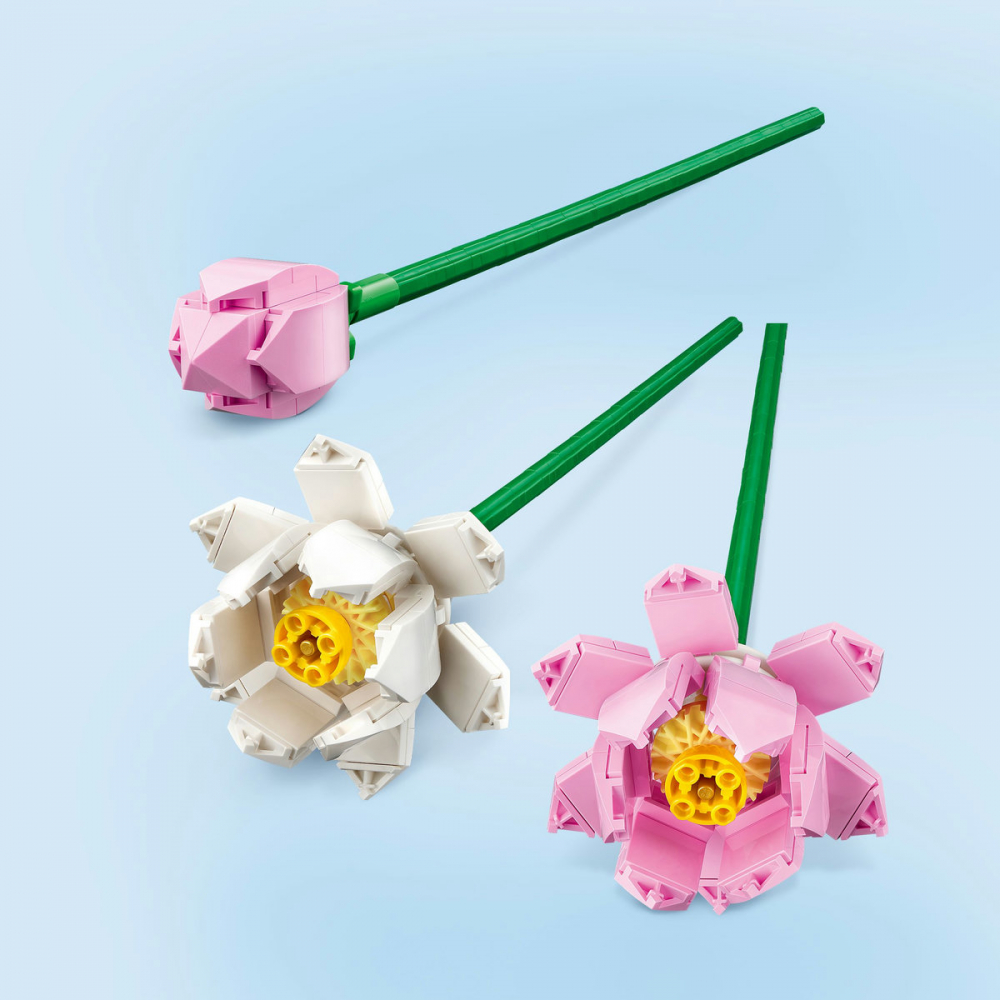 Lotus [6]