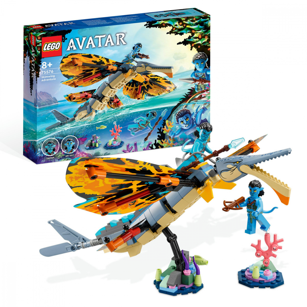 Skimwing Adventure [1]