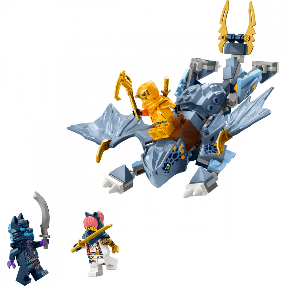 Tanarul dragon Riyu [7]