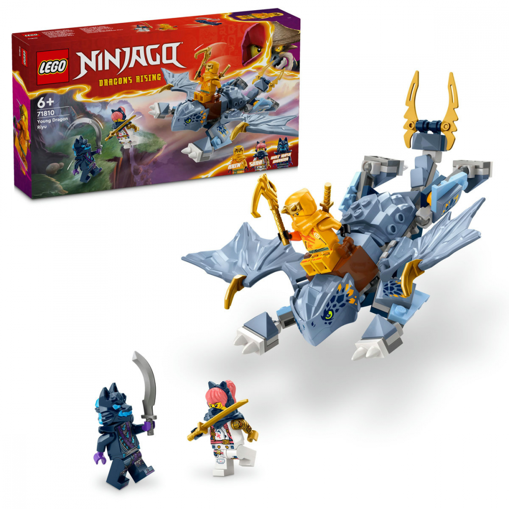 Tanarul dragon Riyu [1]