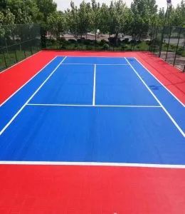Teren baschet streetball Half Court 17x13m [10]