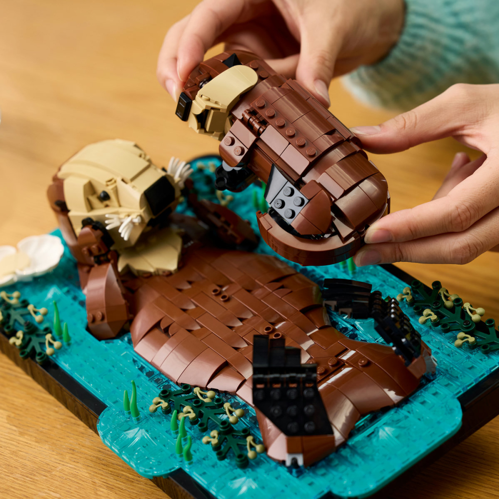 Vidre plutind pe apă [5]