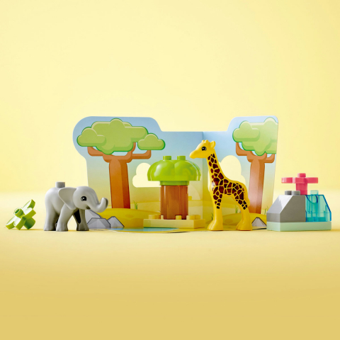 Animale din Africa [5]