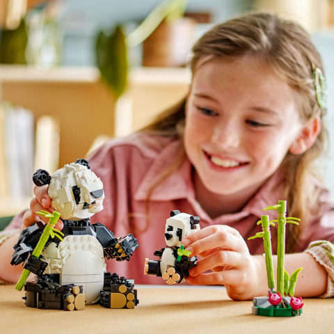 Animale salbatice: Familia de ursi panda [6]